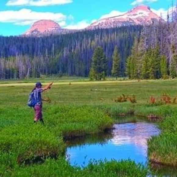 Meet your Posher, Steve - Picture 1 of 1